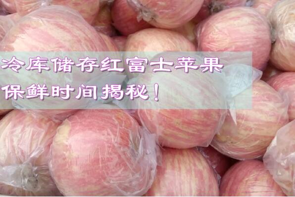冷庫(kù)儲(chǔ)存紅富士蘋(píng)果，保鮮時(shí)間揭秘!