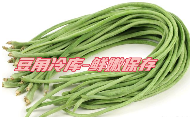 豆角工業冷庫：鮮嫩保存，一年四季供應