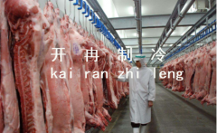 上海1000噸肉類冷庫設計,冷庫造價需要多少