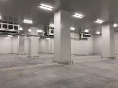 600噸香蕉保鮮冷庫報價，貯藏技術(shù)