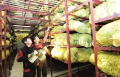 1000立方果蔬保鮮庫設計安裝要多少錢？