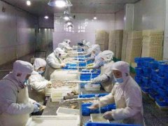 安裝一個3000立方低溫冷凍庫需要投資多少錢？