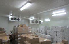 建造一個600噸海鮮冷凍庫造價需要多少錢？