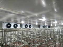 冷凍庫造價一平米價格怎么算？凍庫一立方的造價是多少錢